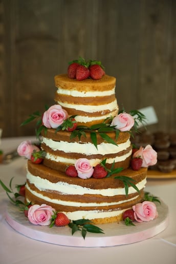 Gallery photo 10 of Janine Wilks Randolph Photography