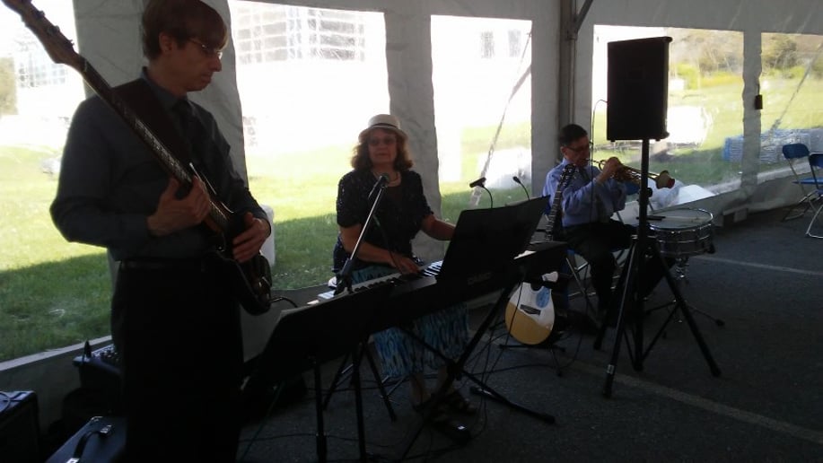 Gallery photo 7 of Lynne Hamer Jazz Trio