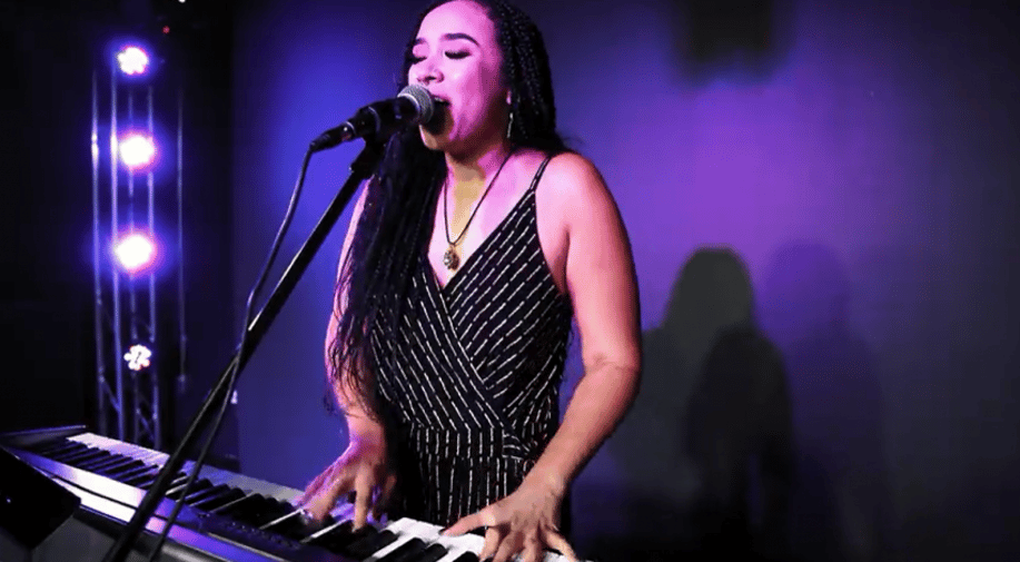 Gallery photo 6 of Jemini Music & Entertainment