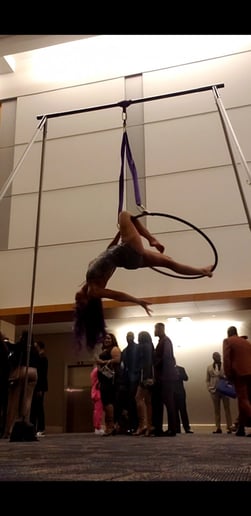 Gallery photo 2 of Starfire