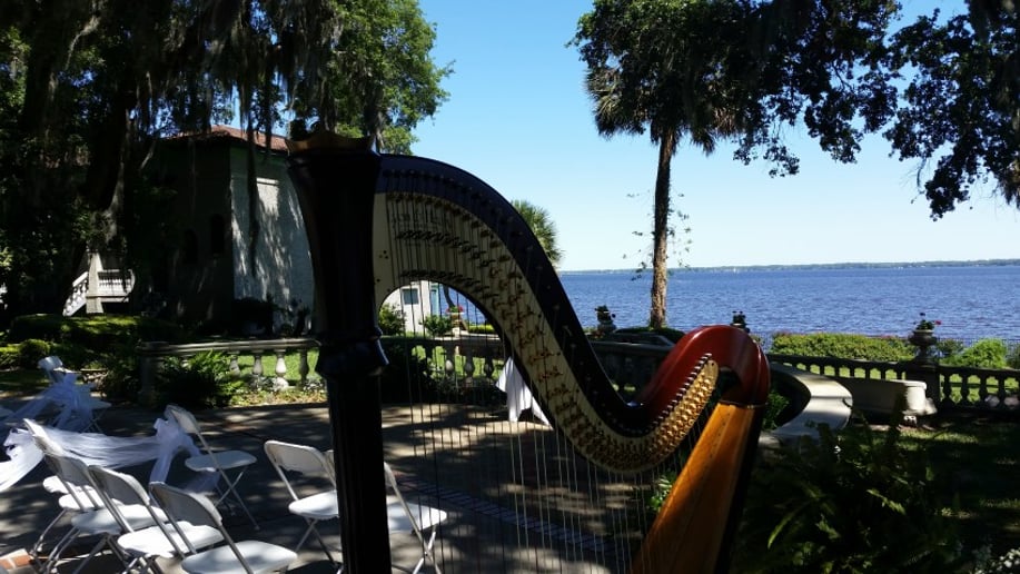 Gallery photo 1 of Jennie Eggleston, Harpist