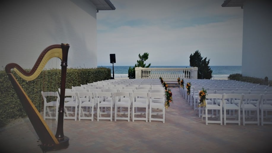 Gallery photo 5 of Jennie Eggleston, Harpist