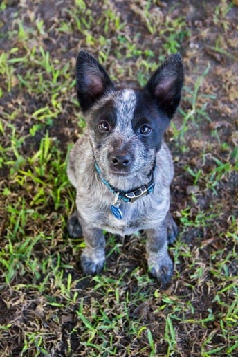 Gallery photo 3 of Jessica Wayman Photography