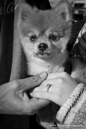 Gallery photo 7 of Jessica Wayman Photography