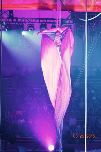 Gallery photo 7 of Joie