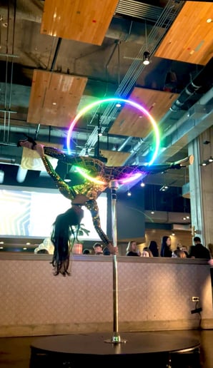Gallery photo 1 of Jordan Ashley - Aerialist
