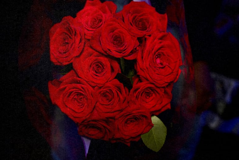 Gallery photo 9 of JQuestt