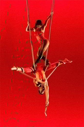 Gallery photo 4 of Judith FLEX Productions