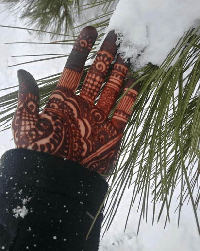 Gallery photo 4 of Katie Minich