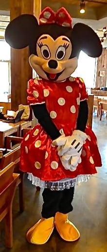 Gallery photo 13 of Kevin's Costumed Characters