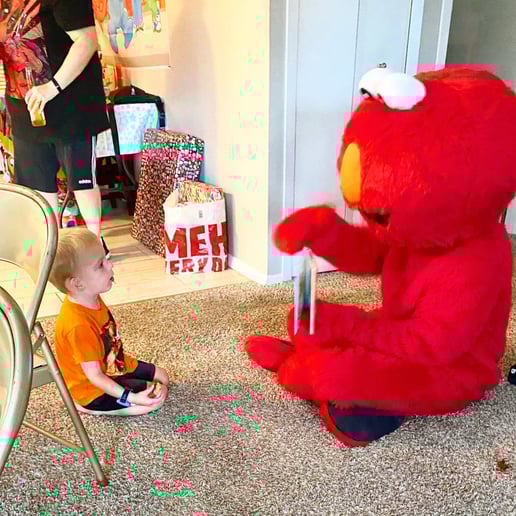 Gallery photo 9 of Kevin's Costumed Characters