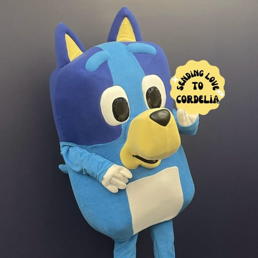 Gallery photo 38 of Kids Party Productions