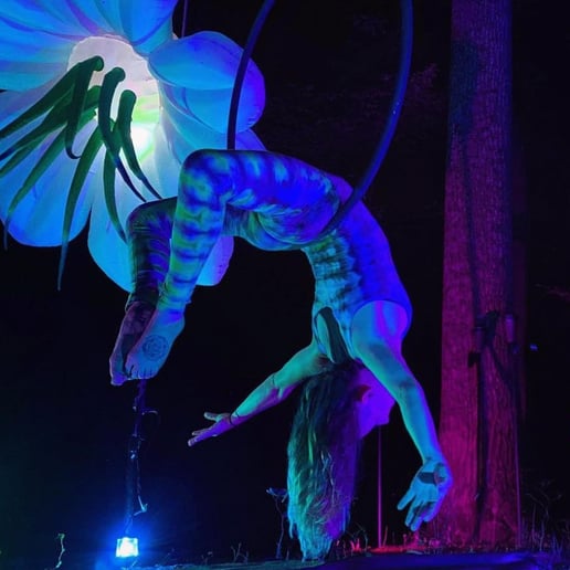 Gallery photo 30 of Kinetic Spinners
