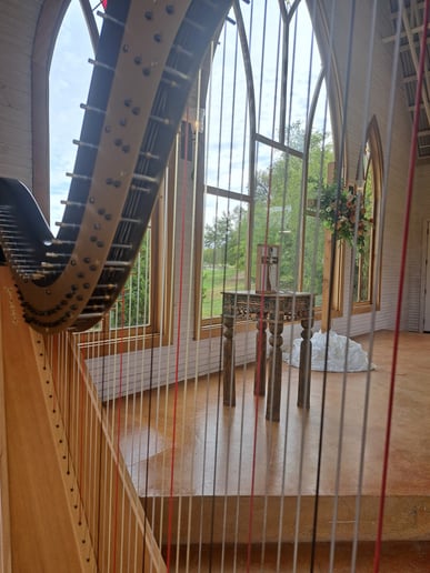 Gallery photo 1 of Kinsey Mitton Harp