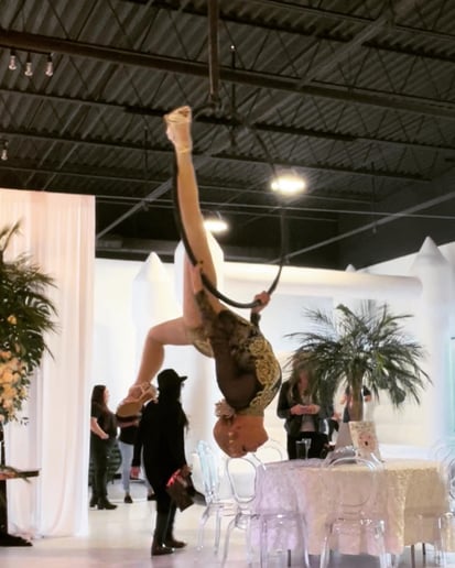 Gallery photo 8 of Aerial Cherry