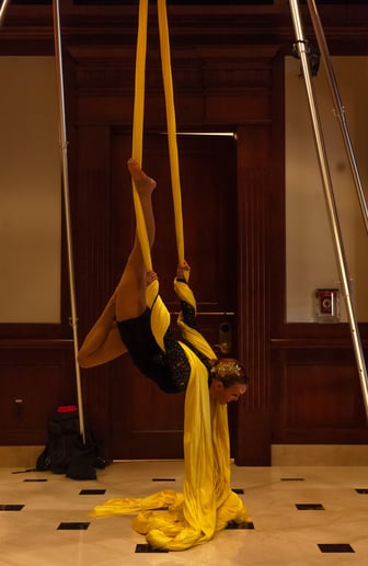 Gallery photo 9 of Aerial Cherry