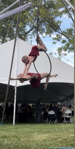 Gallery photo 3 of Aerial Cherry