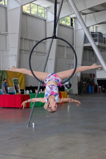 Gallery photo 6 of Aerial Cherry