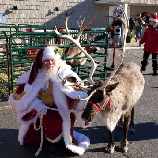 Gallery photo 50 of Lake Country Santa Claus