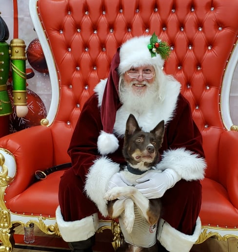 Gallery photo 79 of Lake Country Santa Claus