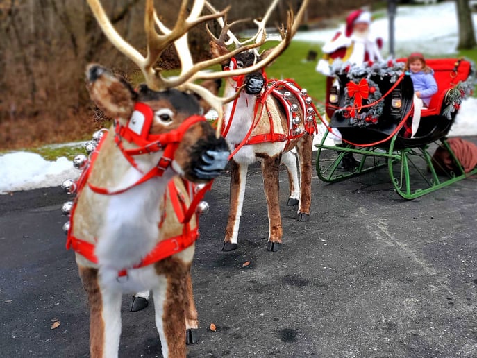 Gallery photo 36 of Lake Country Santa Claus