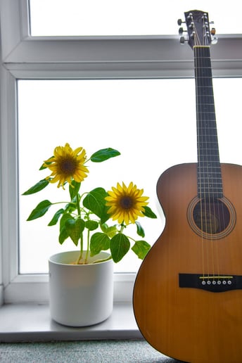 Gallery photo 3 of Live Acoustic Music