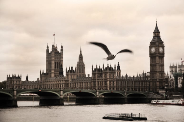 Gallery photo 36 of Lush Life Film