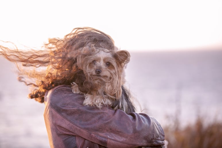 Gallery photo 31 of Lush Life Film