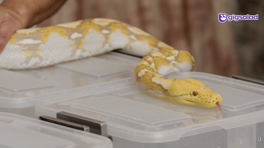 Gallery photo 20 of Lush Life Film