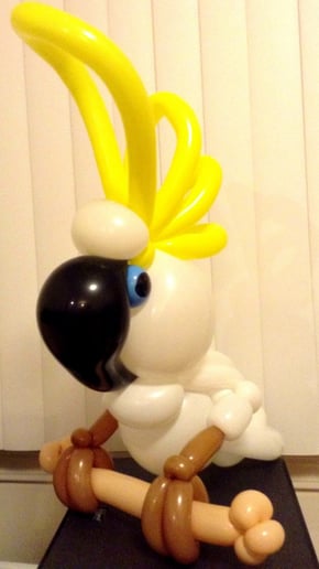 Gallery photo 22 of Magician & Balloon Twister-Perry Yan