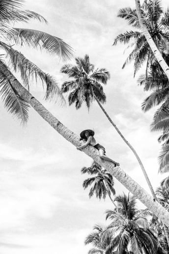 Gallery photo 2 of Meg M. Photography