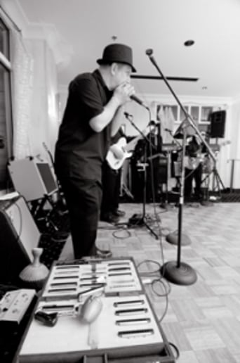 Gallery photo 37 of Dark Star Brothers Band