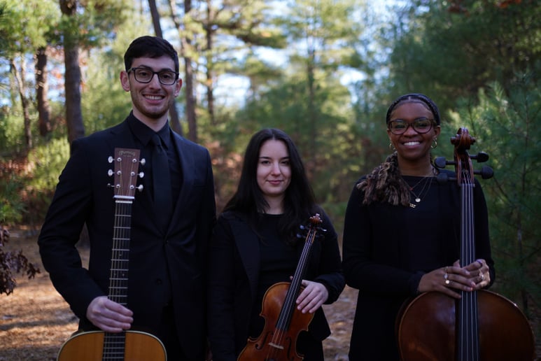 Gallery photo 19 of D'Amico Entertaintainment