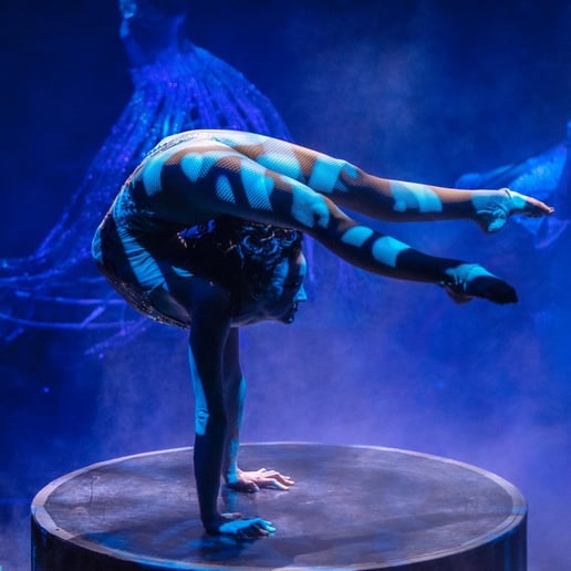 Gallery photo 4 of MP Letourneau