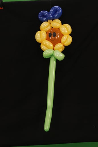 Gallery photo 4 of Mr. NO the Balloon Guy