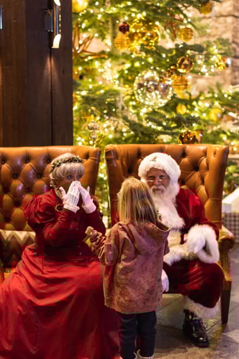 Gallery photo 10 of Nevada Santa & Mrs. Lollie Claus