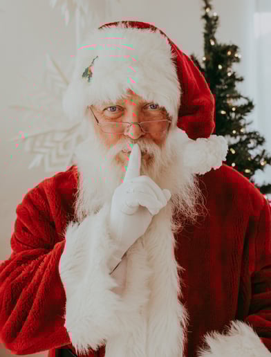 Gallery photo 4 of Nevada Santa & Mrs. Lollie Claus