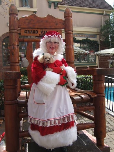 Gallery photo 2 of Mrs. Santa Claus