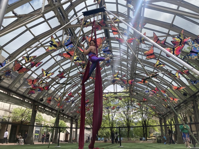 Gallery photo 14 of Alchemy Performing Arts