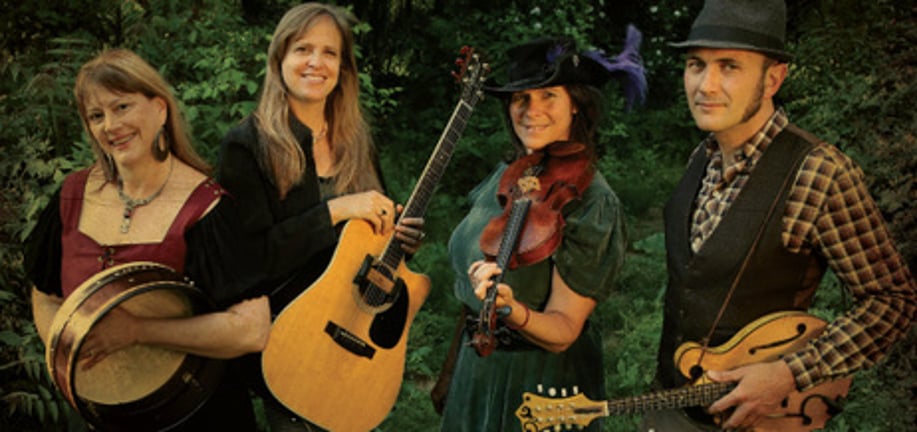 Gallery photo 2 of Music and Dance Calling