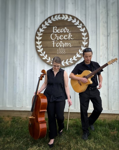 Gallery photo 9 of Deep River String Duo