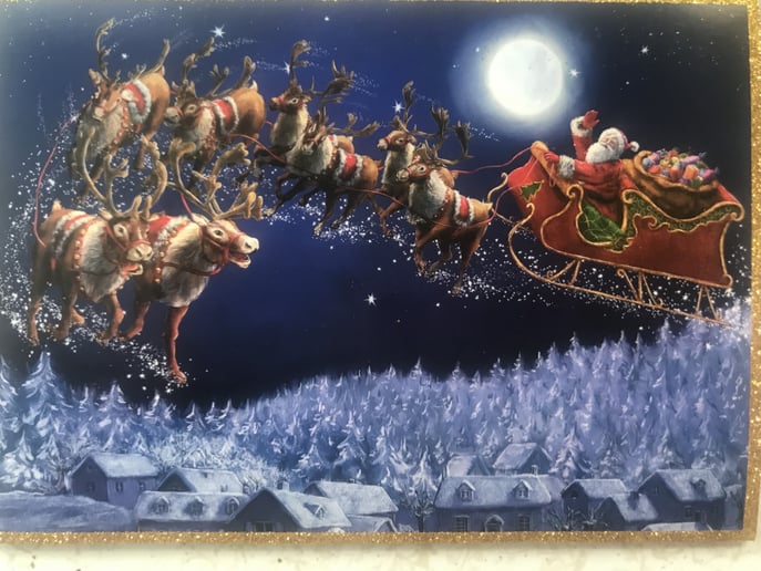 Gallery photo 5 of My Santa Visits