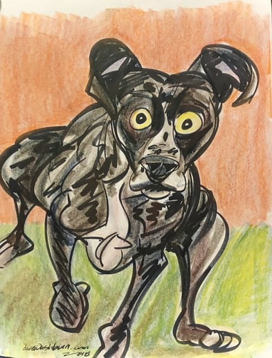 Gallery photo 8 of National Champ Caricature Artist