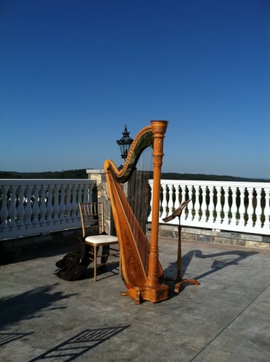 Gallery photo 8 of New York Harpist