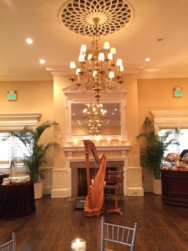 Gallery photo 4 of New York Harpist