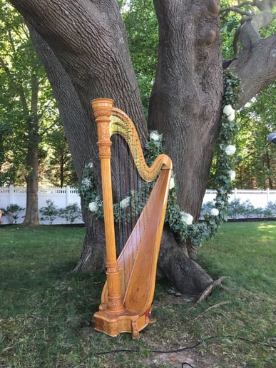 Gallery photo 1 of New York Harpist