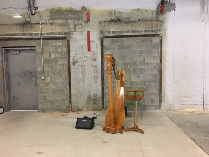 Gallery photo 5 of New York Harpist