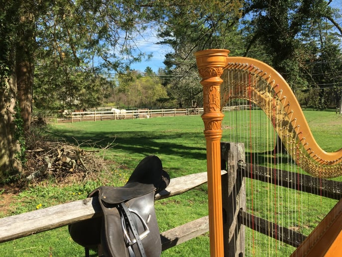 Gallery photo 7 of New York Harpist