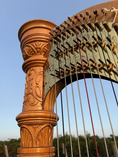 Gallery photo 2 of New York Harpist