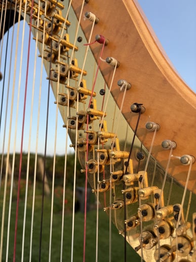 Gallery photo 3 of New York Harpist